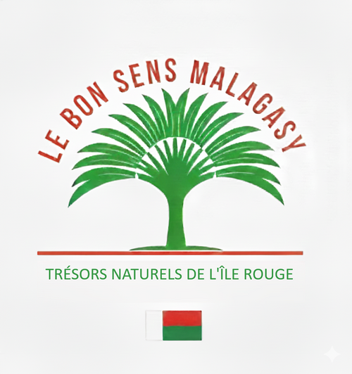 Le bon sens malagasy