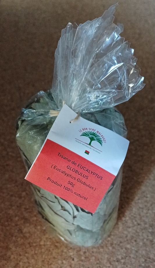 Tisane d'Eucalyptus Globulus